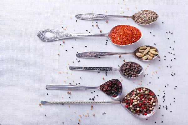 Seasonings in metal spoons — Stock Photo, Image