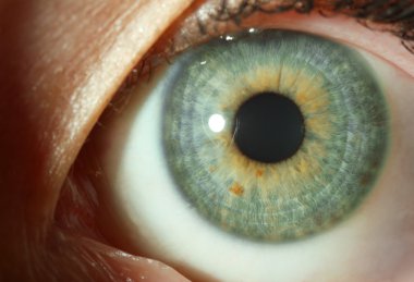 İnsan gözü yakın çekim.