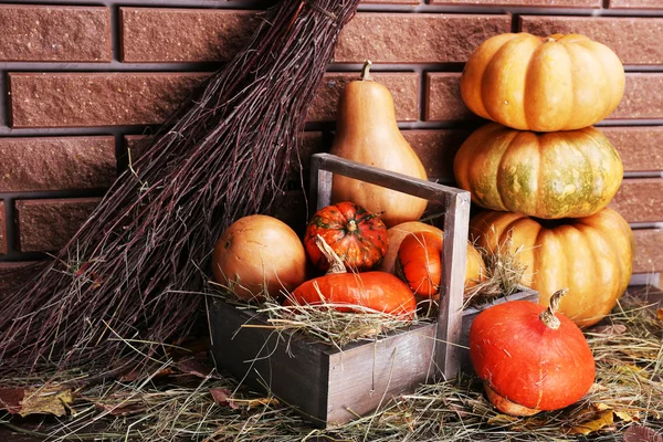 Pompoenen in houten kist — Stockfoto