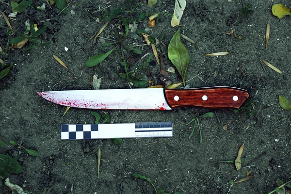 Bloody crime knife — Stock Photo, Image