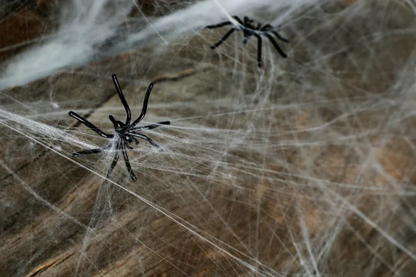 Spinnennetz mit Spinnen auf hölzernem Hintergrund — Stockfoto