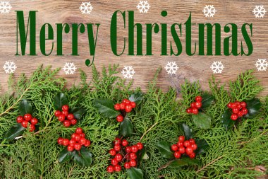 Güzel Noel kenarlık