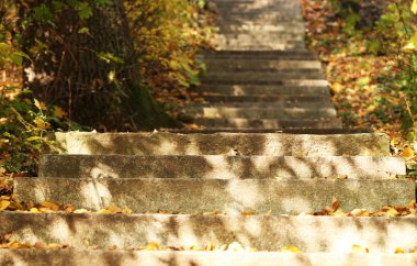 Parkta taş basamaklar