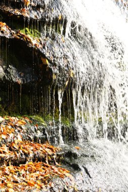 güzel sonbahar şelale