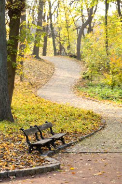 Parkta güzel sonbahar ağaçlar