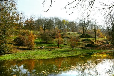 Güzel doğa arkaplanı