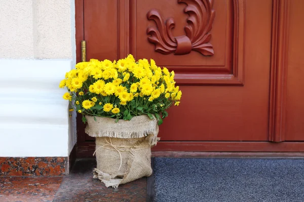 Fleurs en pot sur fond de porte en bois — Photo