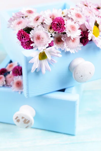 Beautiful flowers in boxes — Stock Photo, Image