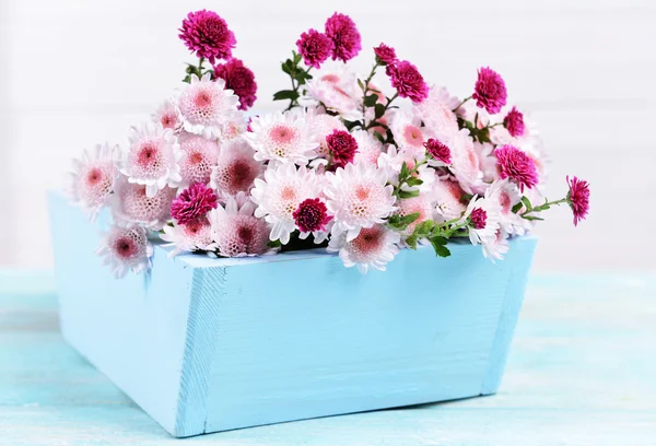 Beautiful flowers in box — Stock Photo, Image