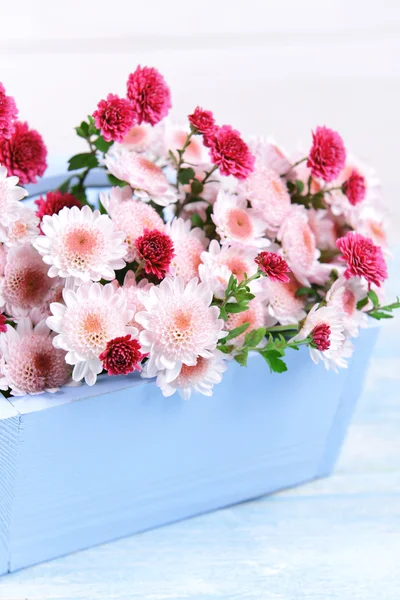 Beautiful flowers in box — Stock Photo, Image