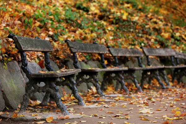 Wooden bench at park — Stock Photo, Image