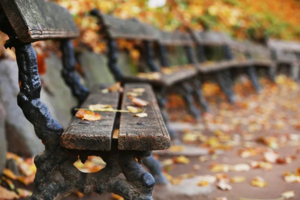 Panca in legno al parco — Foto Stock