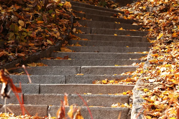 Stone steps in park — Stock Photo, Image