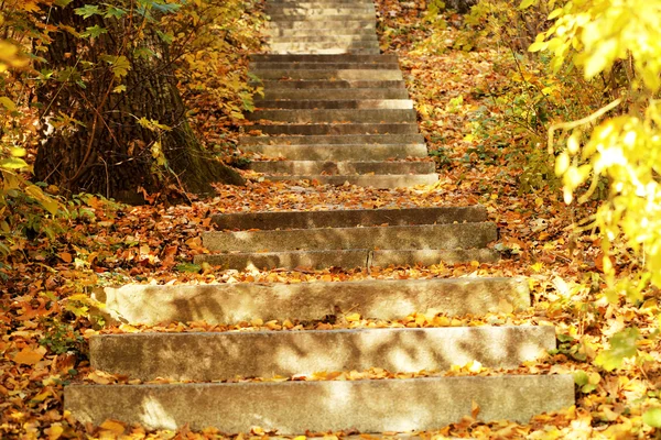 Stentrappor i parken — Stockfoto