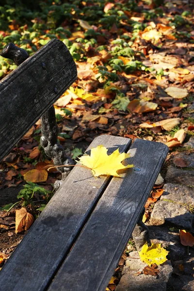 Herfstblad op houten bankje in het park — Stockfoto