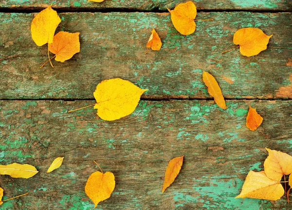 Hermosas hojas de otoño sobre fondo de madera —  Fotos de Stock