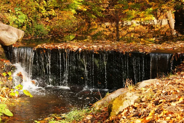 Beautiful waterfall — Stock Photo, Image