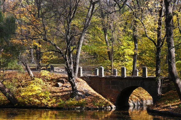 Bela paisagem no parque — Fotografia de Stock