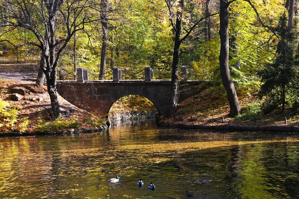 Vackert landskap i park — Stockfoto