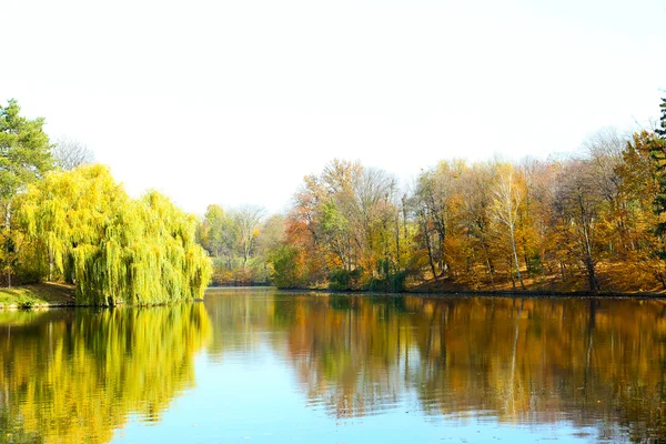 Hermosa naturaleza fondo —  Fotos de Stock