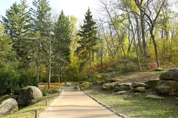 Beaux arbres dans le parc — Photo