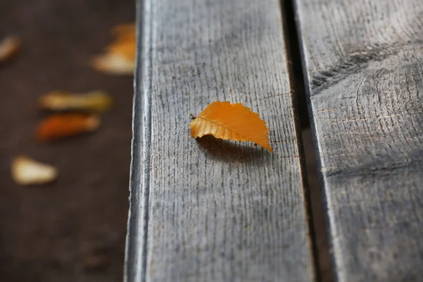 Sonbahar yaprak üzerinde Park ahşap Bank — Stok fotoğraf