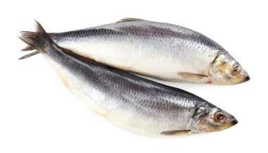 Beyazlar üzerinde taze balık.