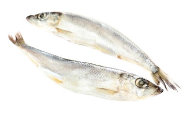 Beyazlar üzerinde taze balık.