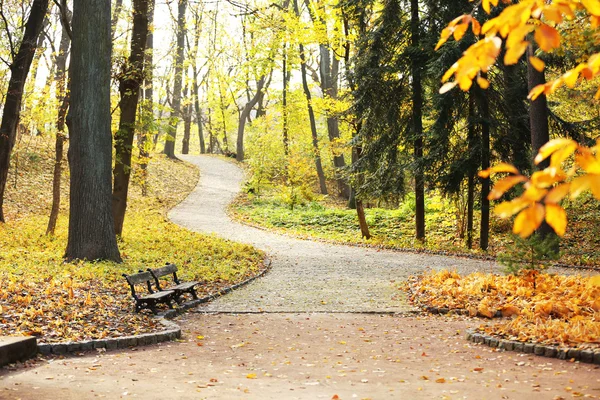 Belo parque — Fotografia de Stock