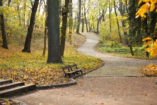 Krásný park — Stock fotografie