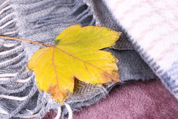 Autumn leaves on plaid close-up — Stock Photo, Image