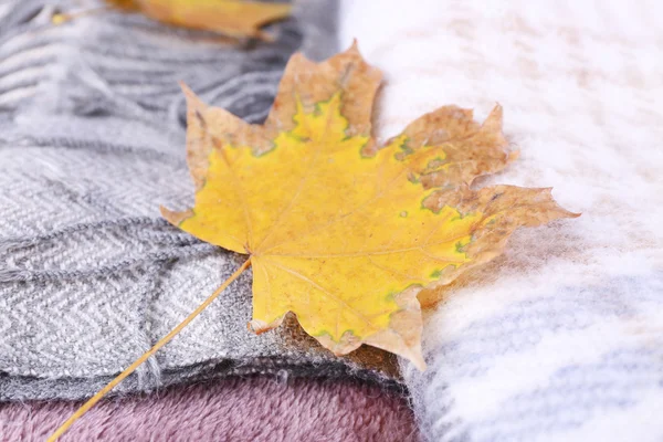 Autumn listowie na kratę z bliska — Zdjęcie stockowe