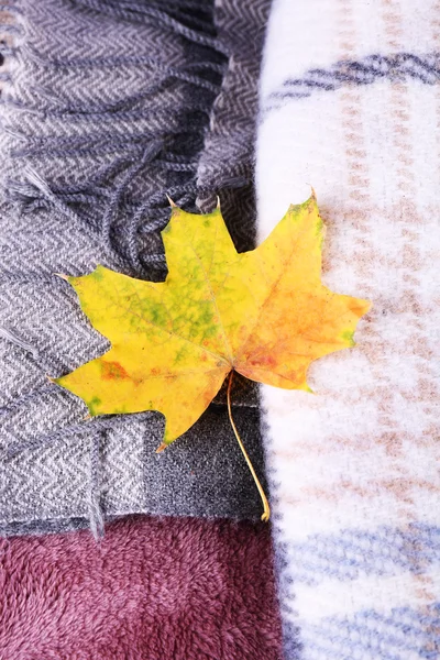 Autumn listowie na kratę z bliska — Zdjęcie stockowe