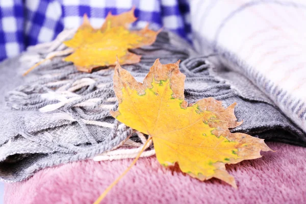 Autumn leaves on plaid close-up — Stock Photo, Image