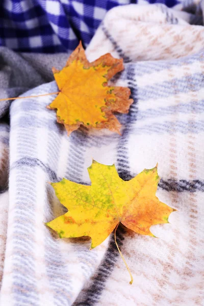Autumn leaves on plaid close-up — Stock Photo, Image