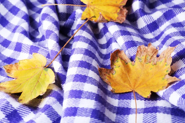 Autumn leaves on plaid — Stock Photo, Image