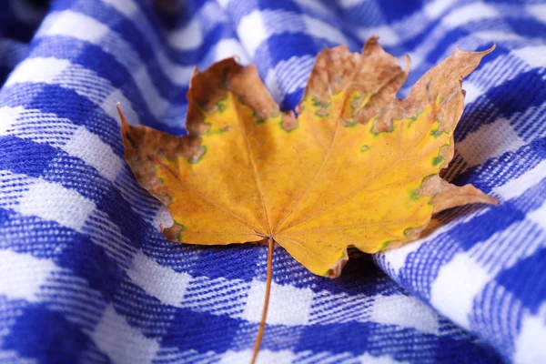Autumn leaf on plaid — Stock Photo, Image