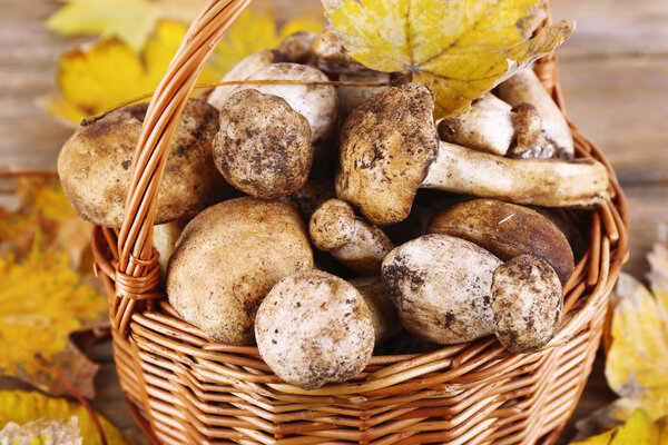 Грибы и осенние листья в корзине крупным планом
