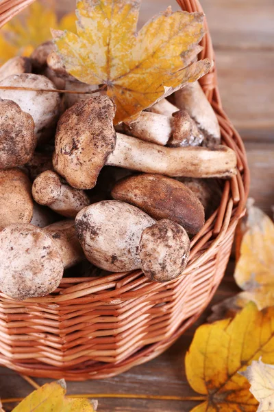 Wild mushrooms and autumn leaves in basket close-up — Stock Photo, Image