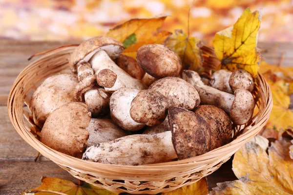 Wild mushrooms and autumn leaves in basket on bright background — Stock Photo, Image