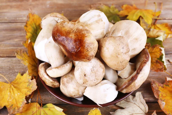 Wild mushrooms and autumn leaves in basket closeup — Stock Photo, Image