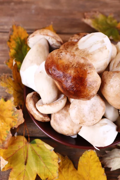 Wild mushrooms and autumn leaves in basket closeup — Stock Photo, Image