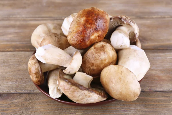 Wild mushrooms on plate — Stock Photo, Image