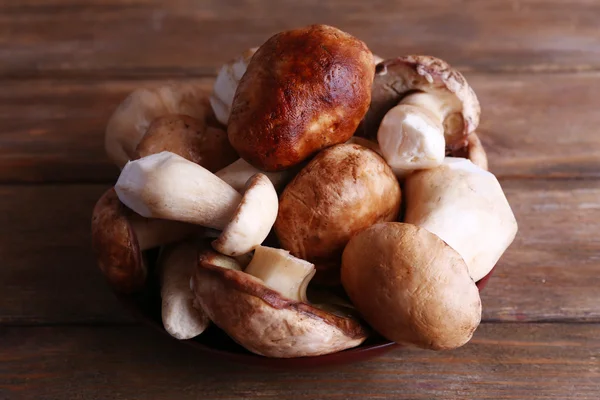 Wild mushrooms on plate — Stock Photo, Image