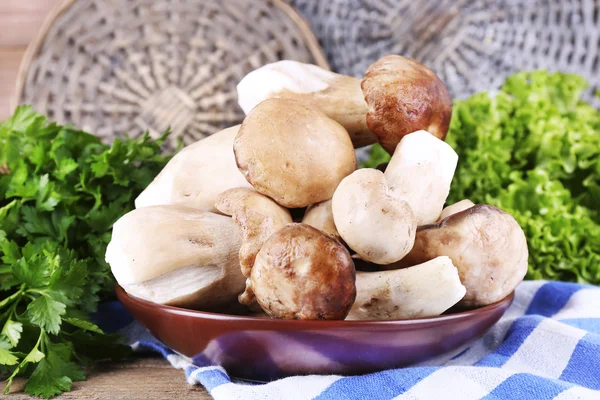 Funghi selvatici su piatto — Foto Stock