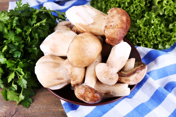 Wild mushrooms on plate — Stock Photo, Image