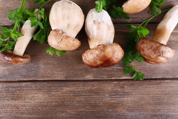 Funghi selvatici con erbe — Foto Stock