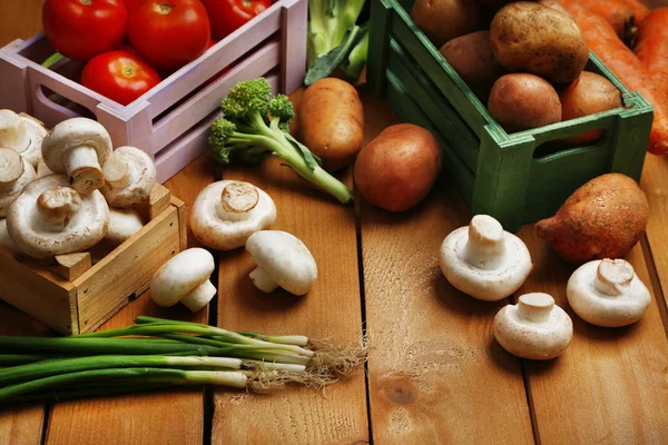 Différents légumes dans des boîtes — Photo