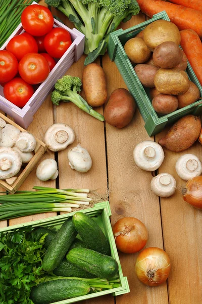 Olika grönsaker i lådor — Stockfoto