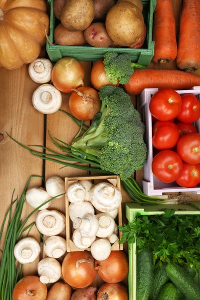 Différents légumes dans des boîtes — Photo